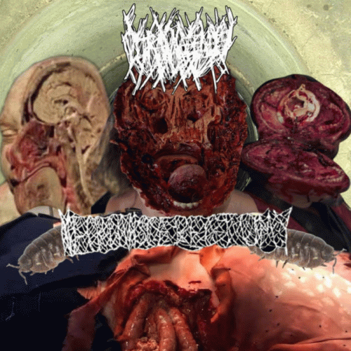 Ultraviolence (USA) : Disgusting Rotten Sewage Party